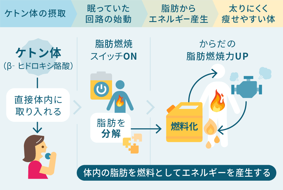 ケトン体の摂取で太りにくく瘦せやすい体づくりイメージ