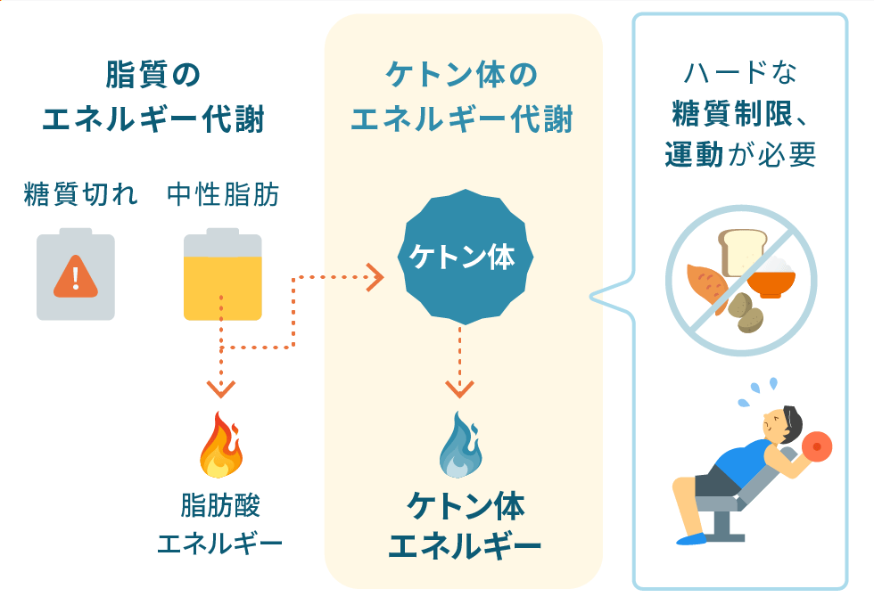 ケトジェニックダイエットとはイメージ