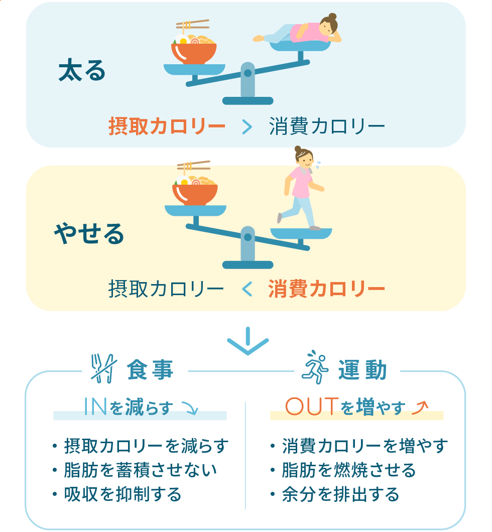 ダイエットのINとOUTイメージ