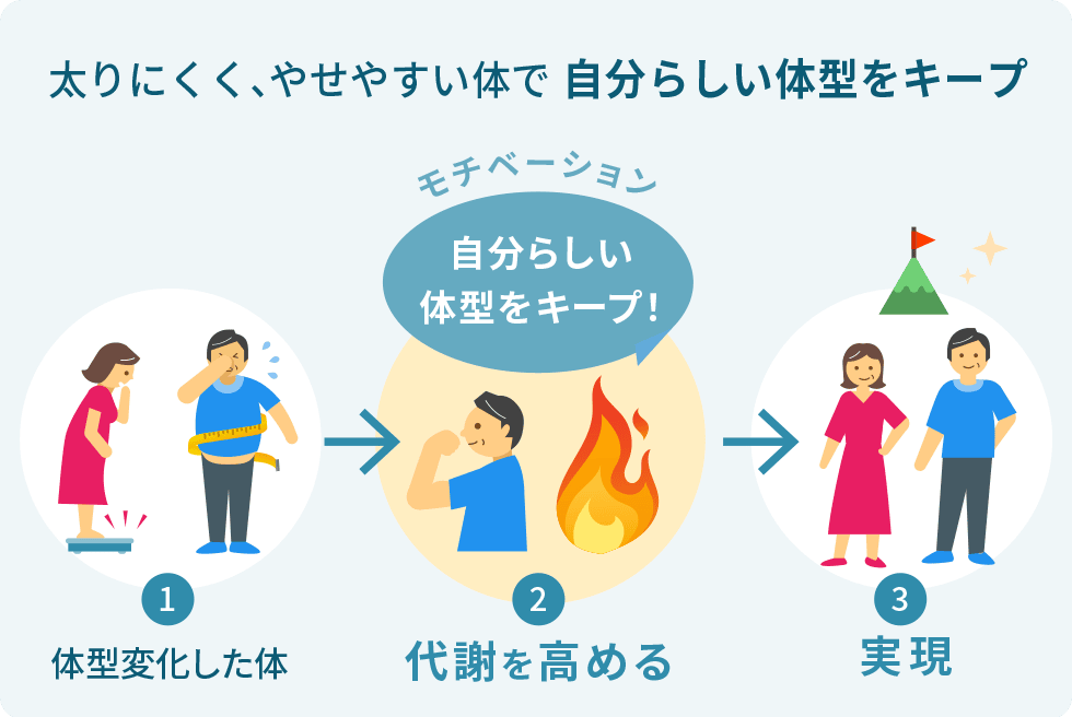 太りにくく、やせやすい体で自分らしい体型をキープ